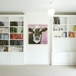 Double boockase alcove cupboards in alcoves