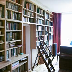 Wall to wall home Library with ladder